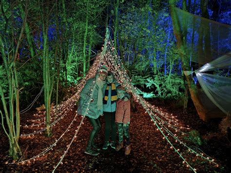 Unlock the Magic of Blakemere Woodland with a Promo Code to the Enchanted Forest